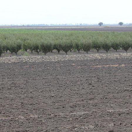 Agriturismo Silos Agri San Severo Oda fotoğraf