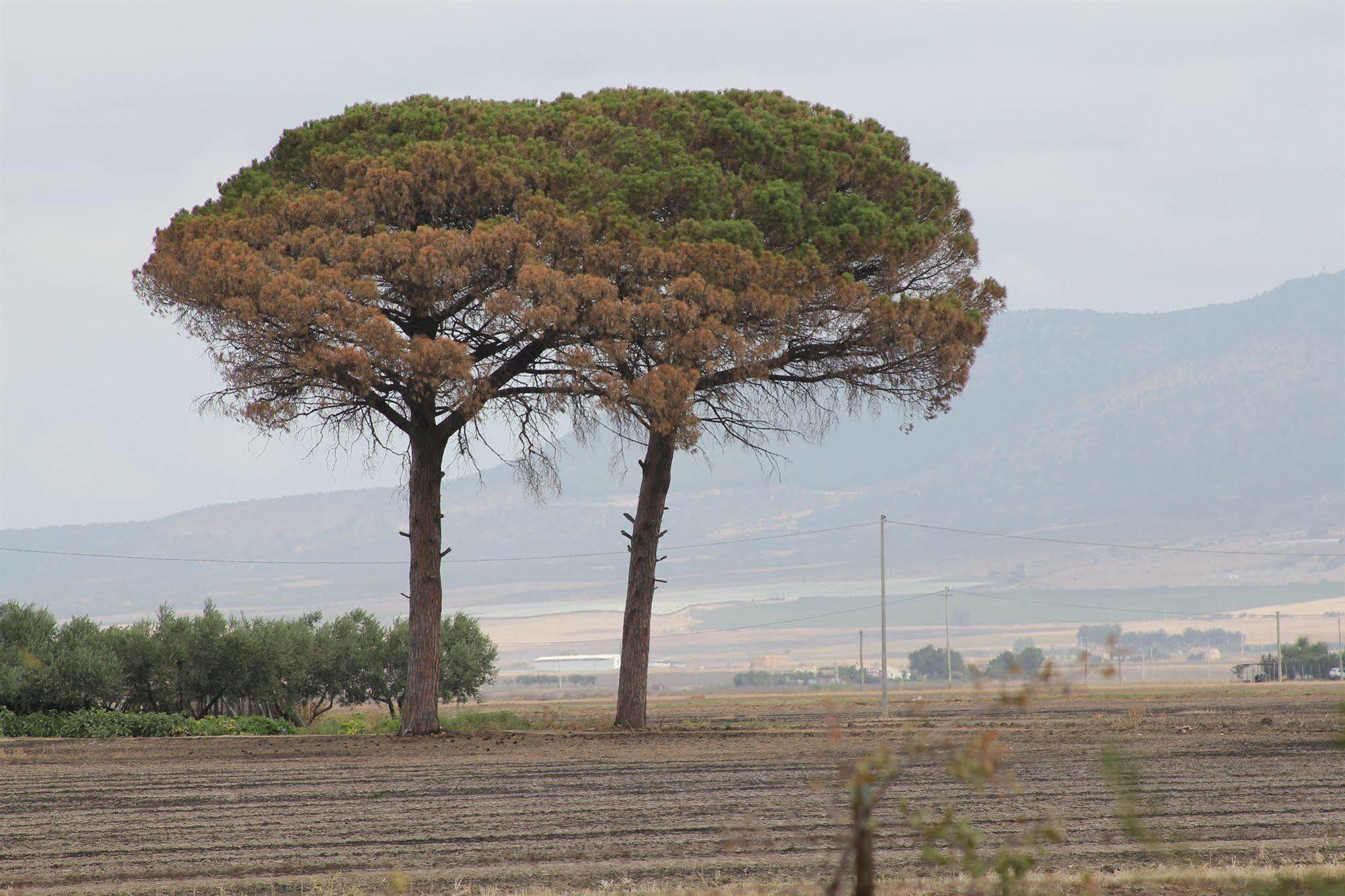 Agriturismo Silos Agri San Severo Dış mekan fotoğraf